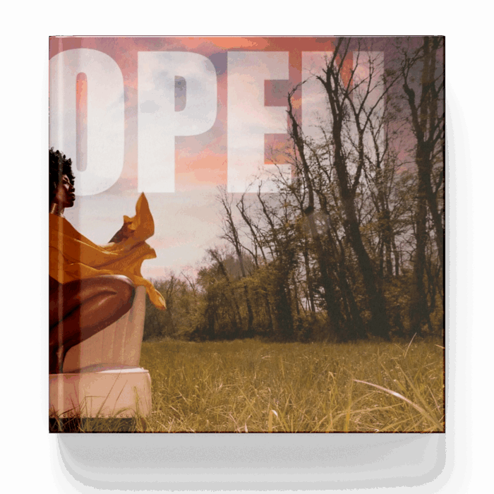 Wyd Open
