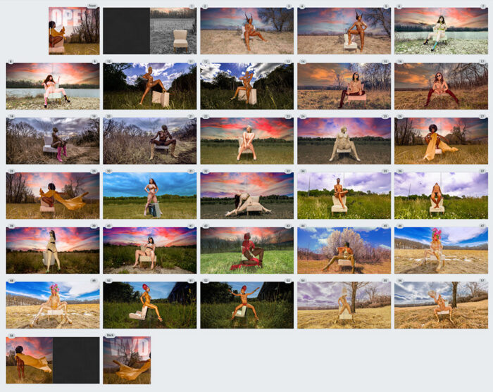 Wyd Open - Image 2